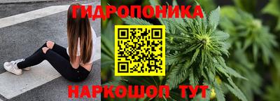 a pvp Аргун