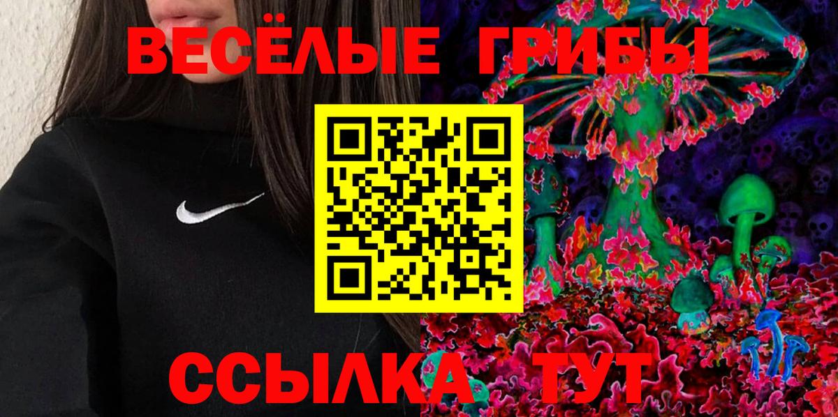 Псилоцибиновые грибы Psilocybe Архангельск