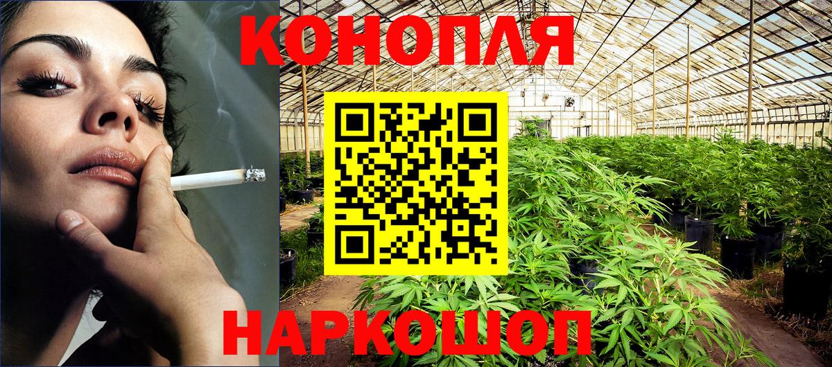 Шишки марихуана конопля Архангельск