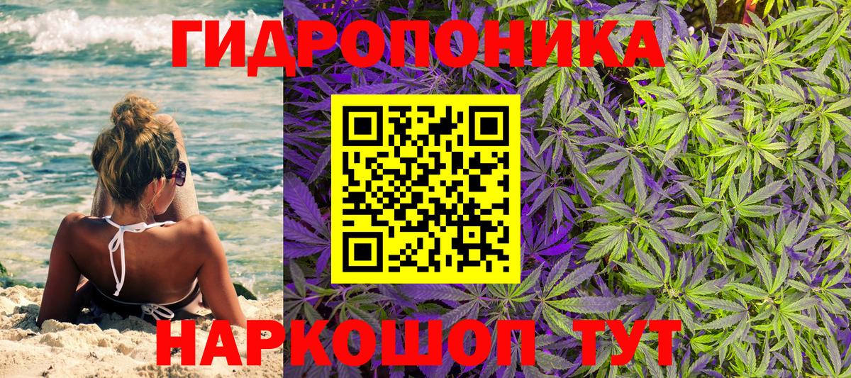 Конопля план  Вход с VPN  Архангельск  Марихуана VHQ 